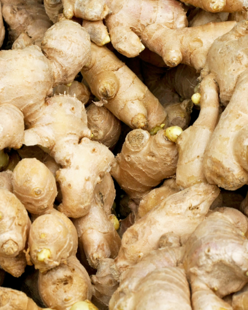 Ginger root which Ginger Essential Oil is extracted from.
