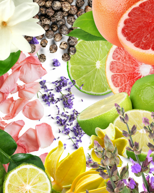 decorative image of ingredients in She Essential Oil Blend