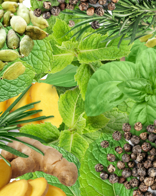 decorative image of ingredients in essential oil blend