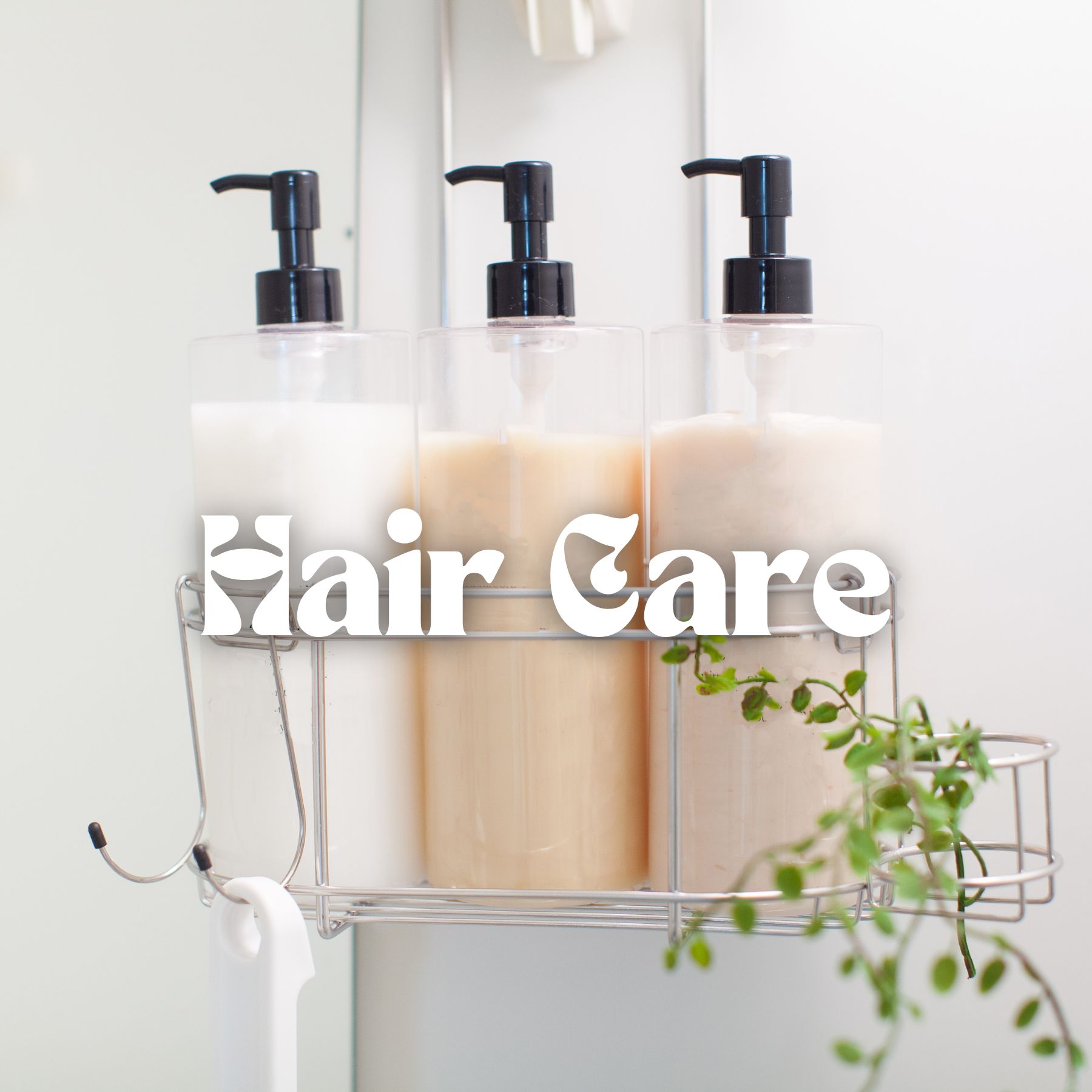 Decorative Image Says "Hair Care"